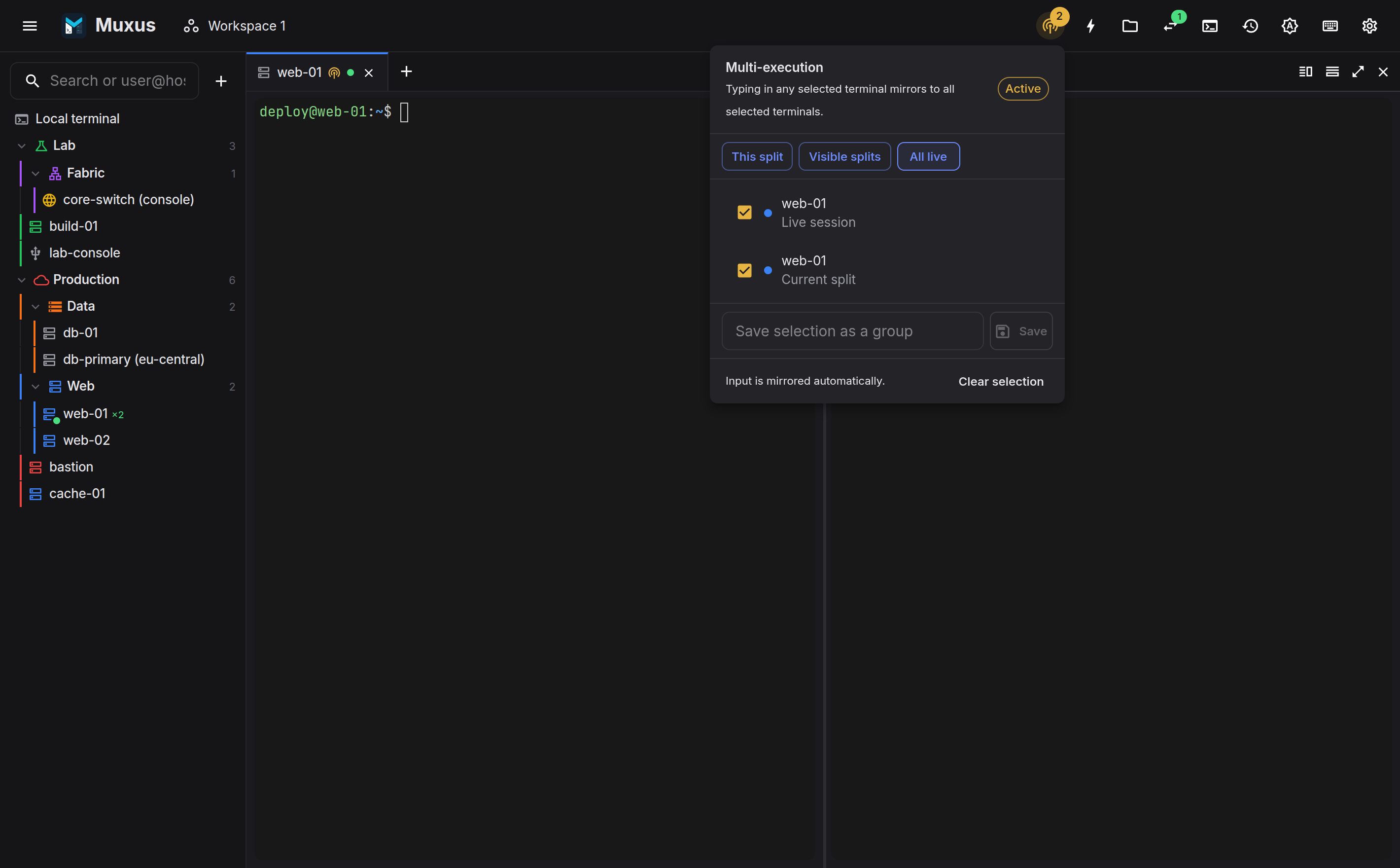 Selecting terminals for multi-execution