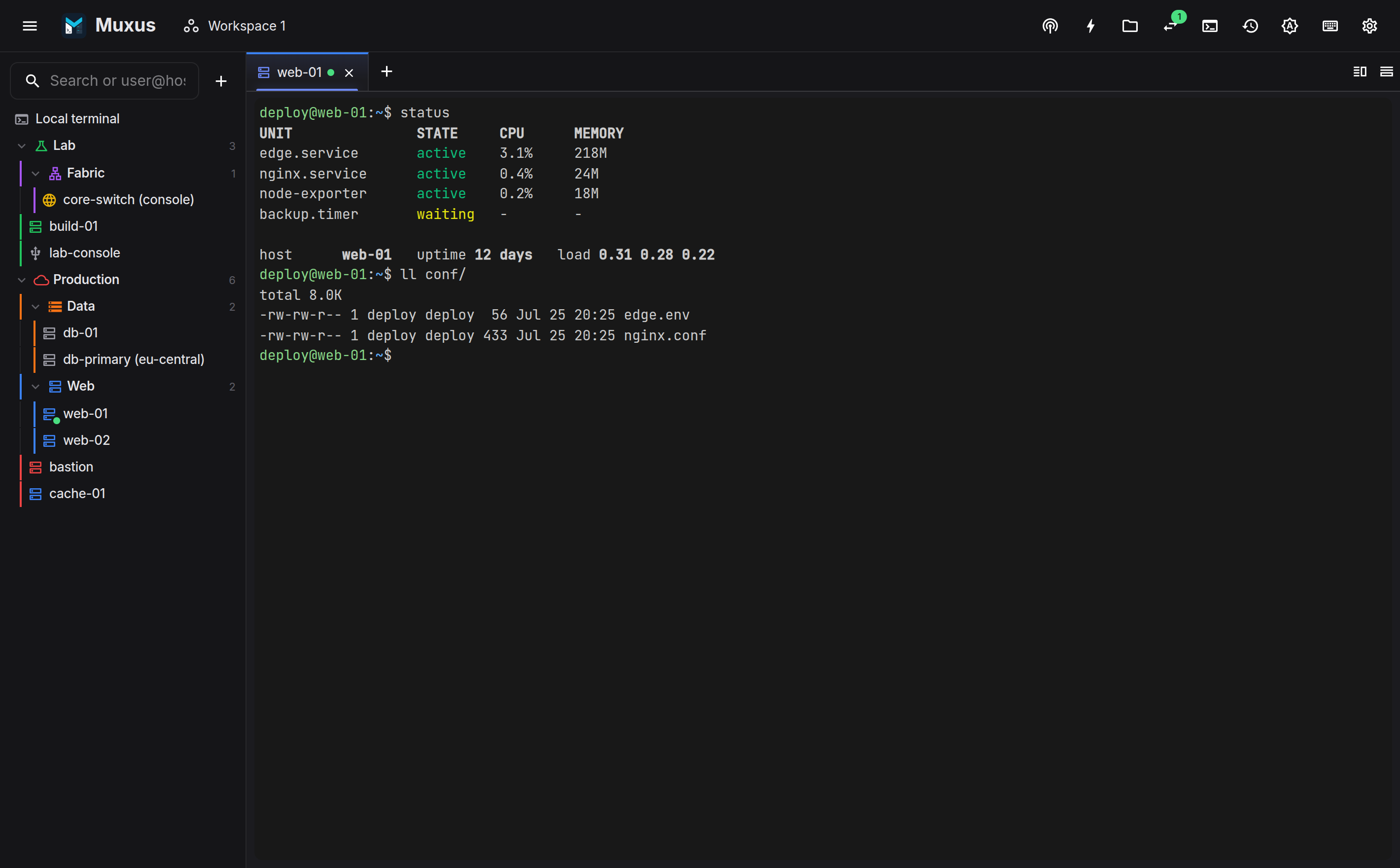 The Muxus window